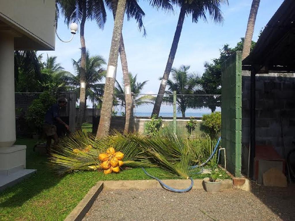 Janishi Residencies Hotell Negombo Exteriör bild